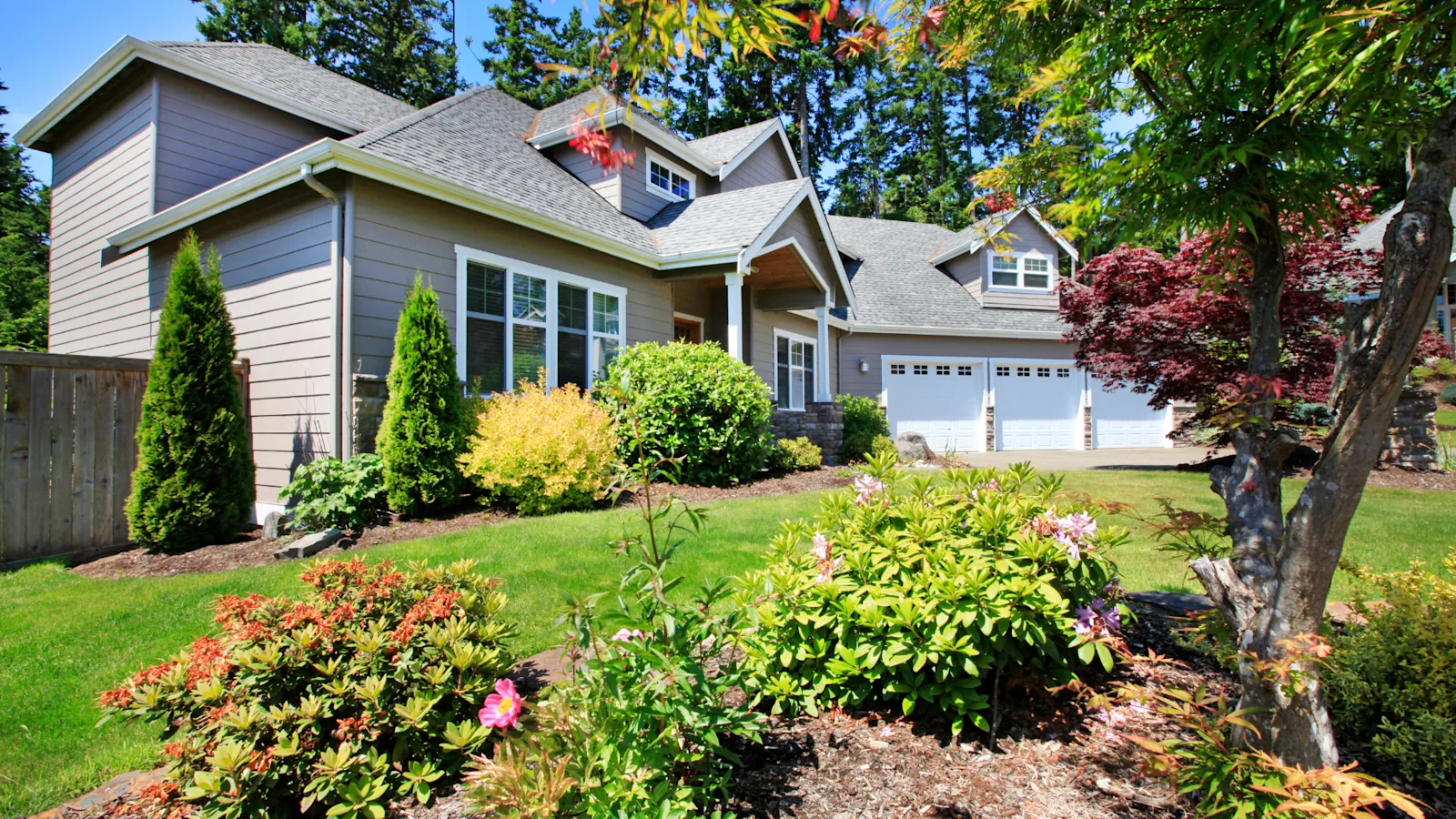 front yard planter grass plants