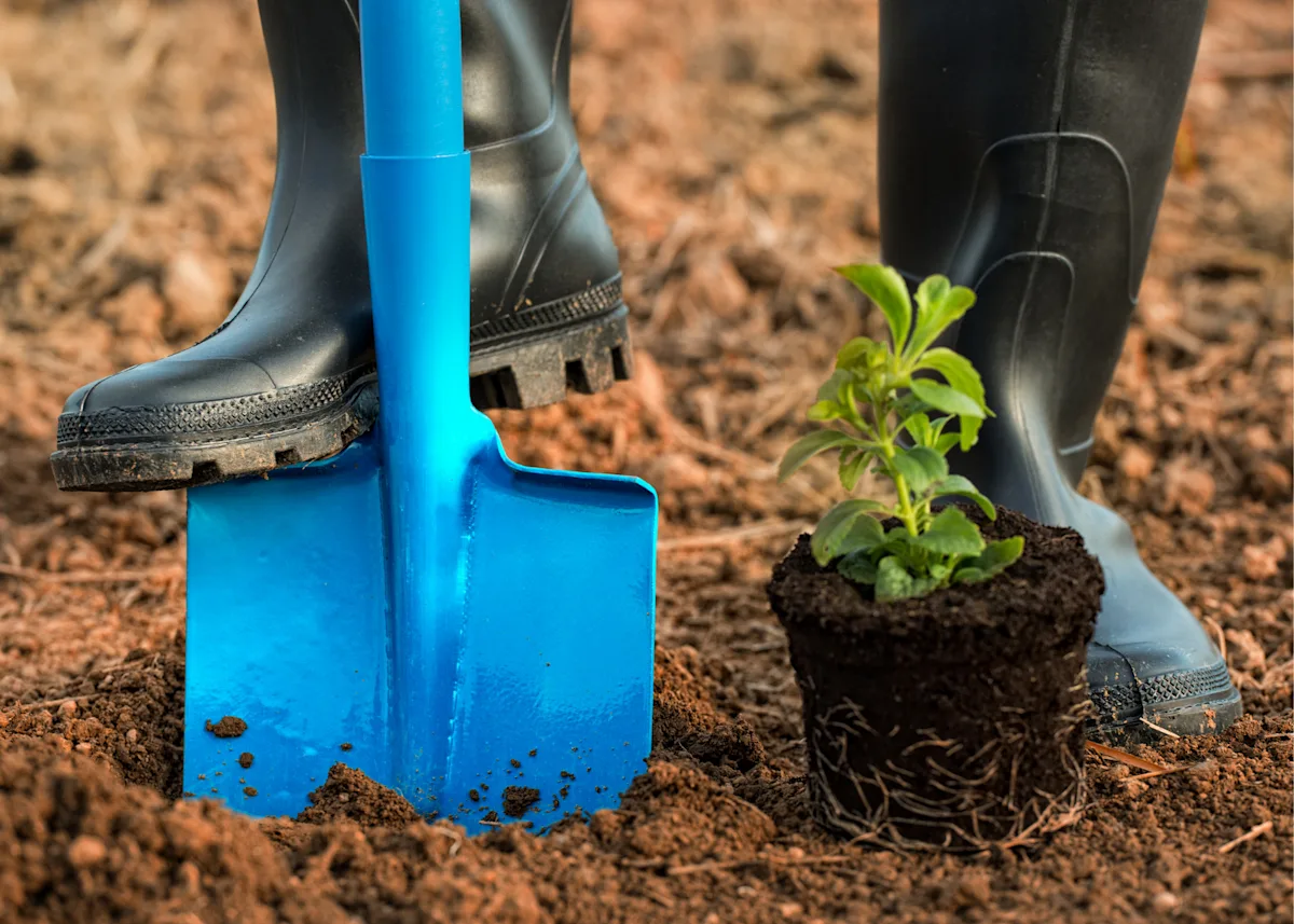 Digging and planting