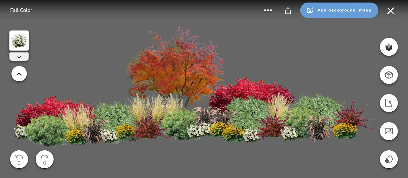 Fall Color Template