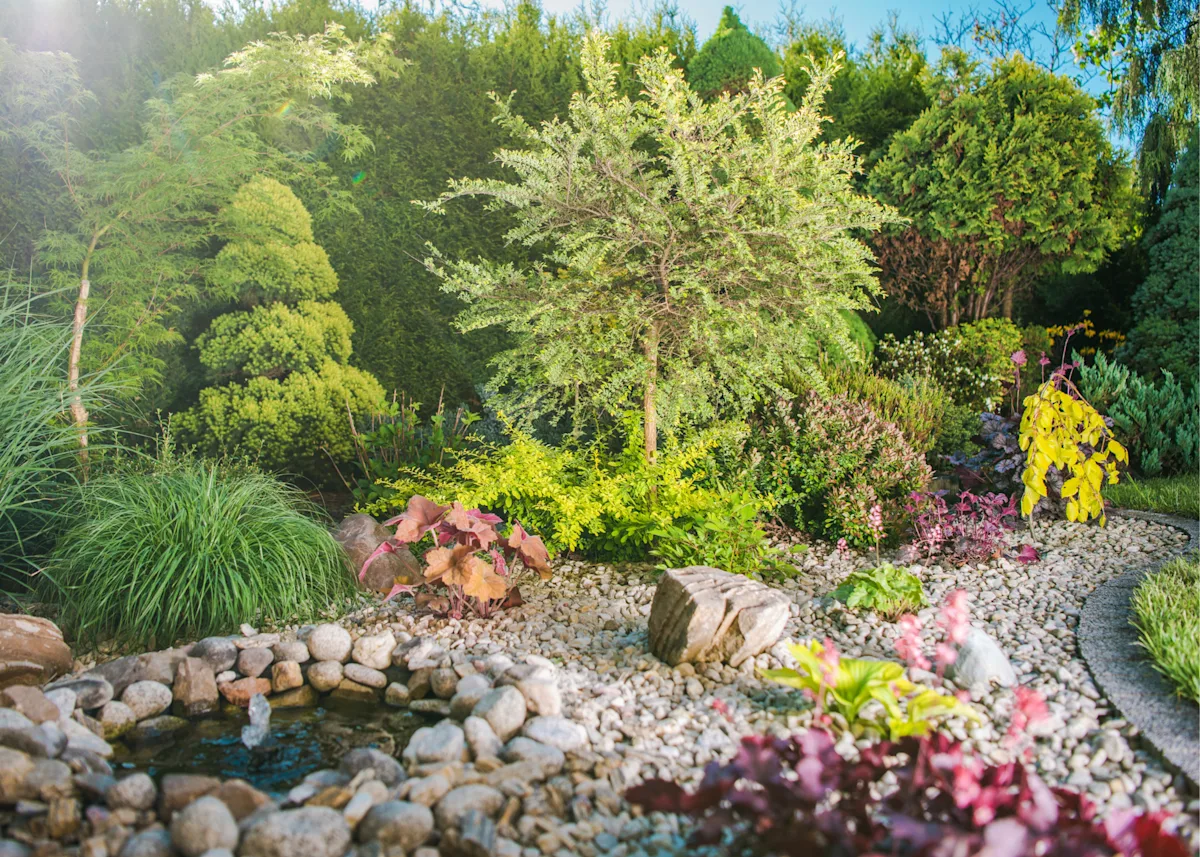 Plant combos and small pond