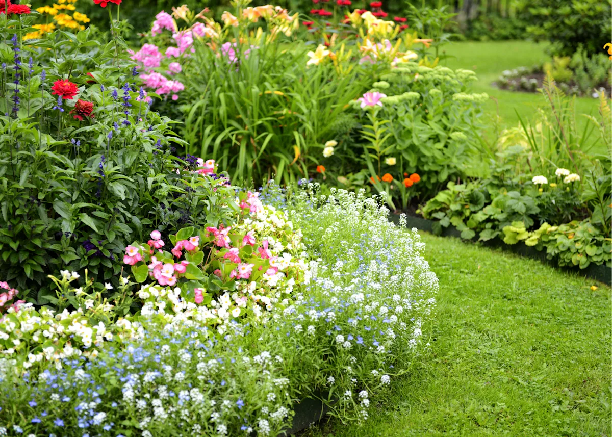 Planting Bed