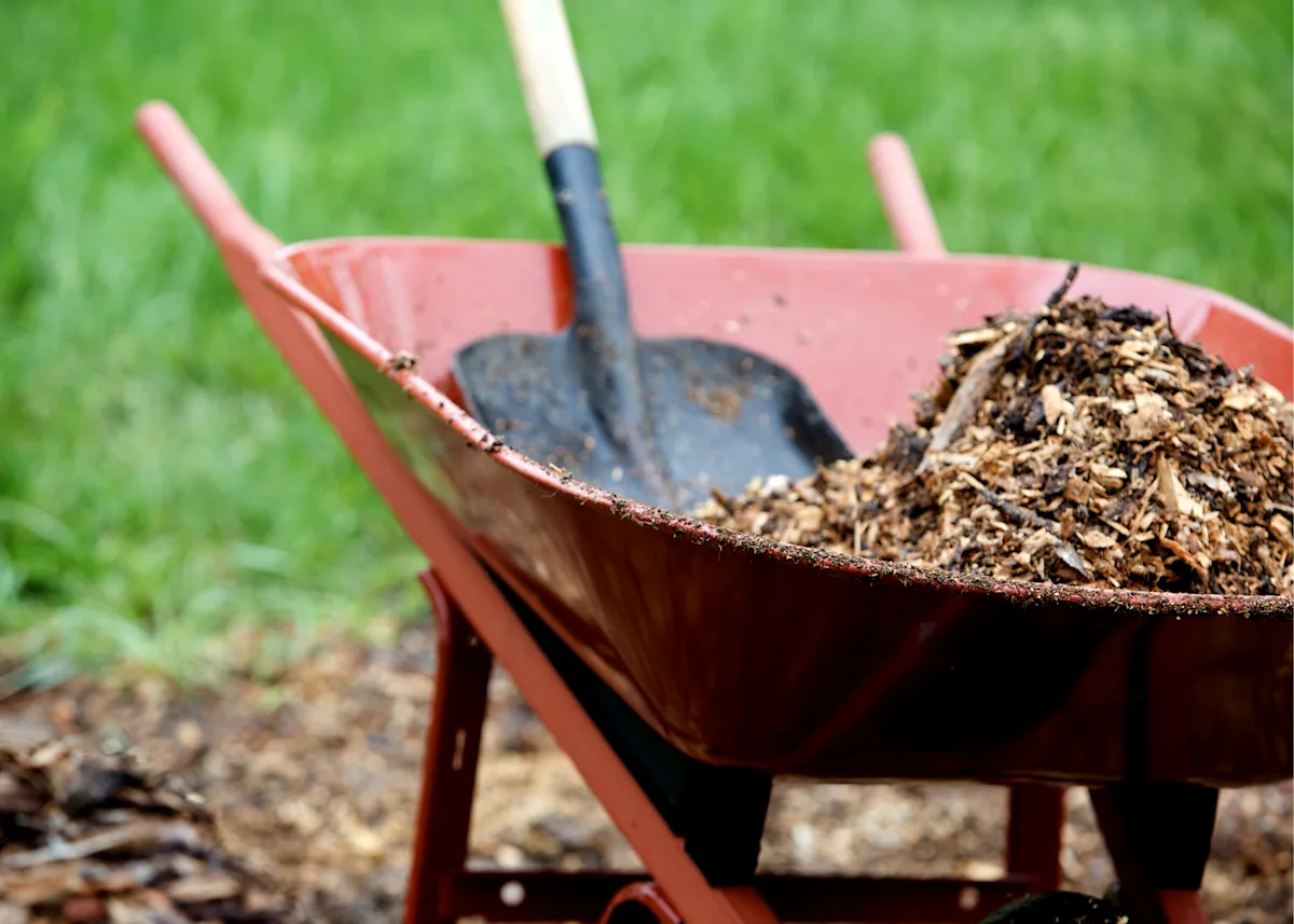 Mulch