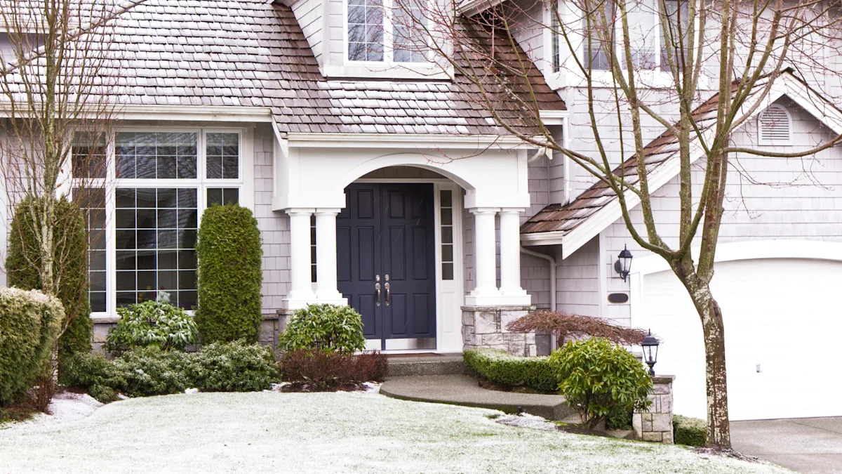 winter evergreen