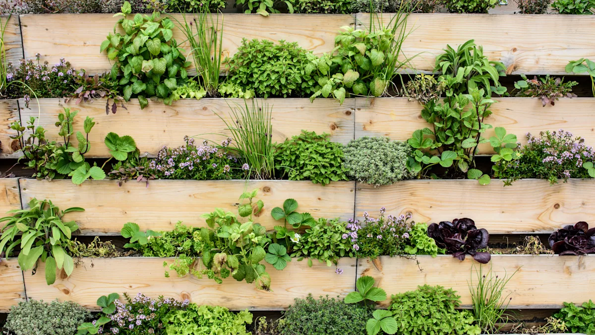Vertical Garden