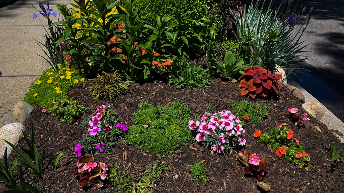 park strip perennials bloom