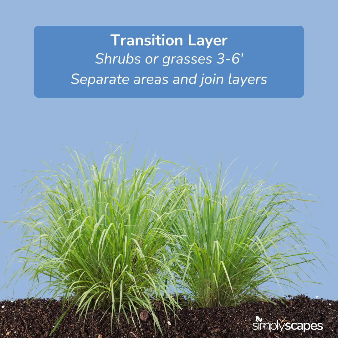 Transition Layer