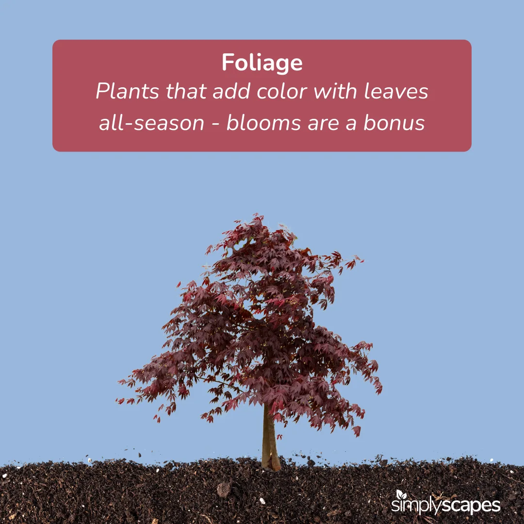 Foliage