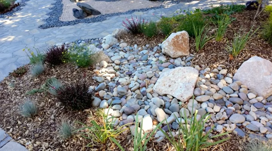 Mixed river stones and larger boulders form a dry stream bed between mulched planting beds