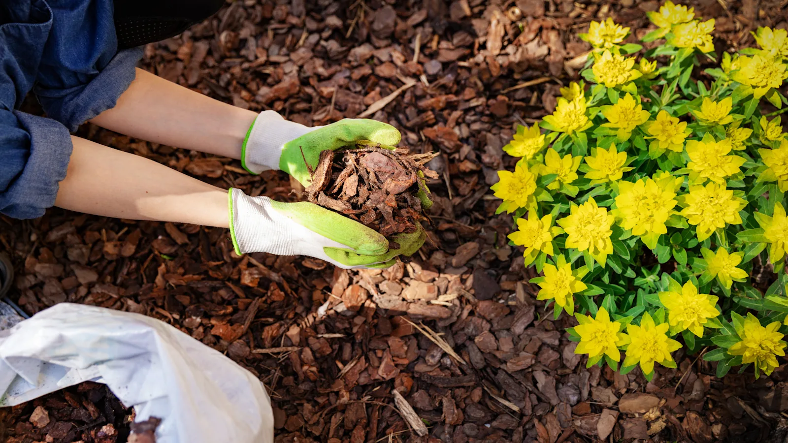 mulch