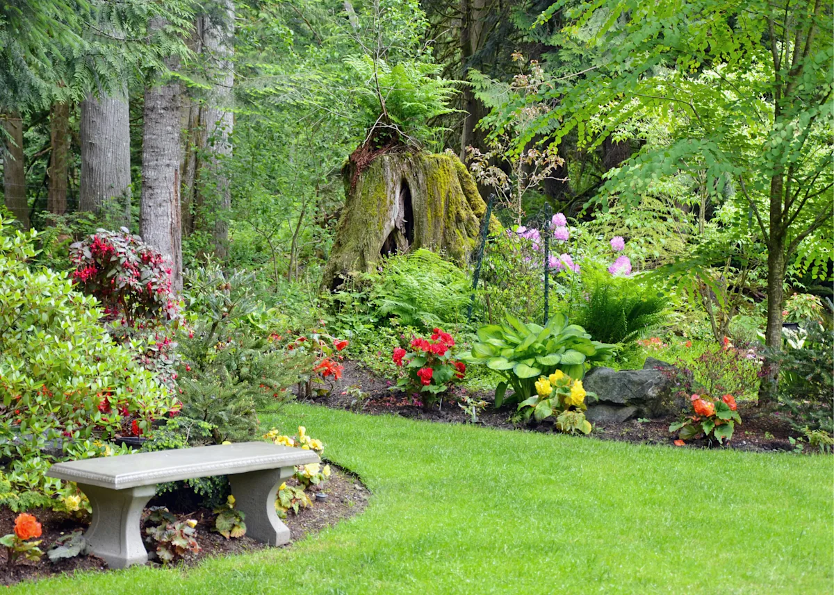 Colorful plant combos and open shape
