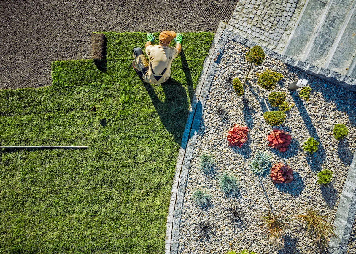 Laying out sod