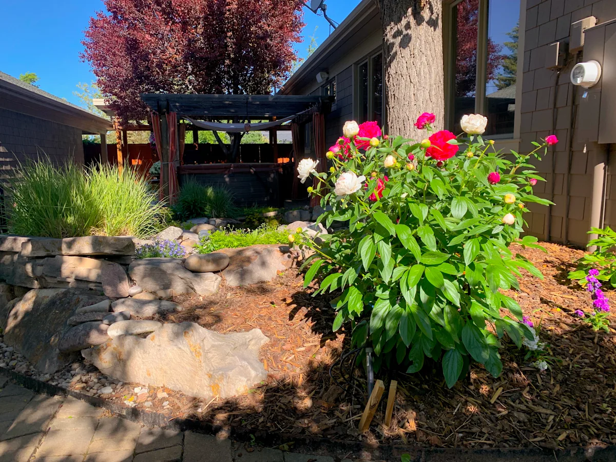Peonie hot tub