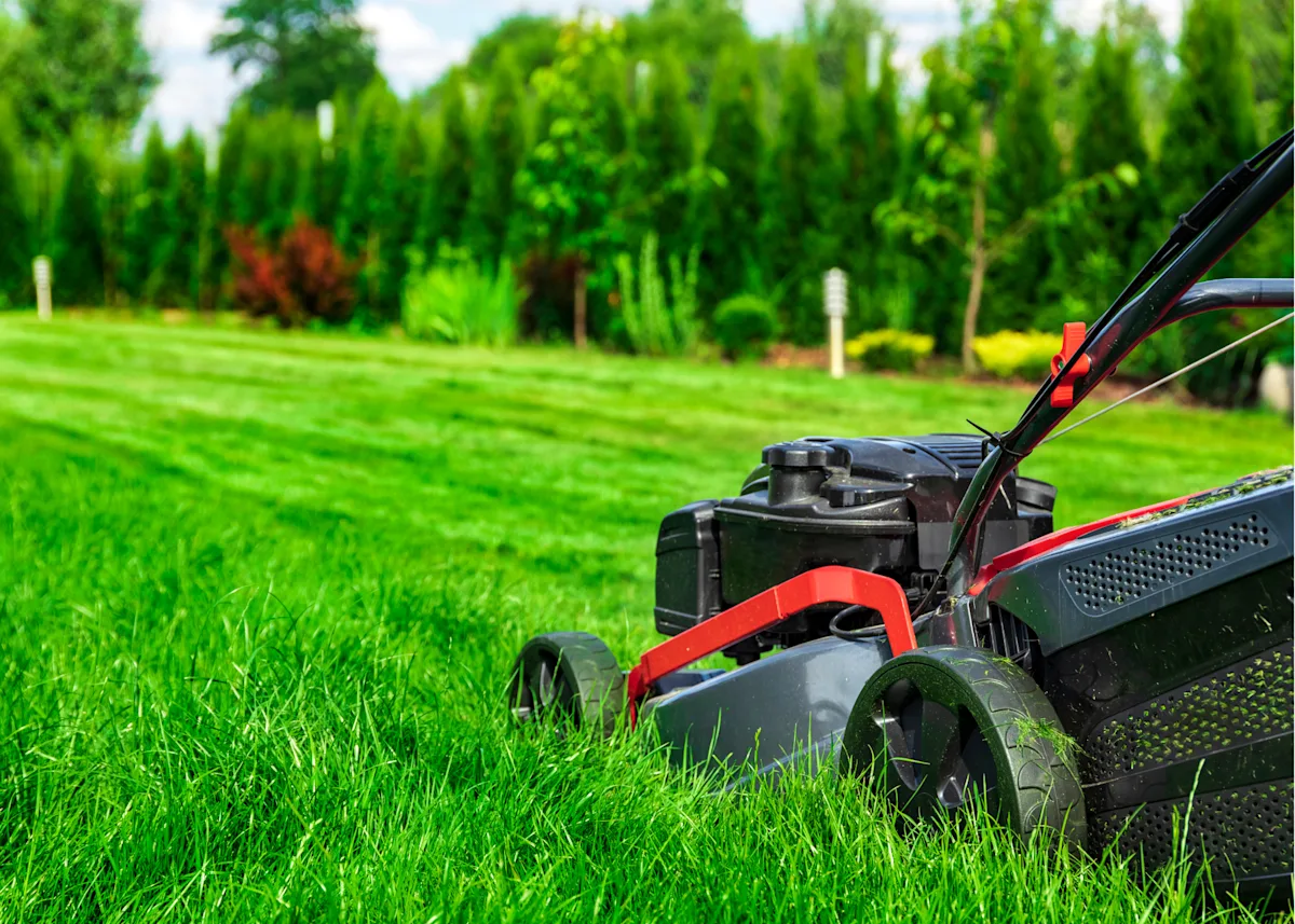 mowing the lawn
