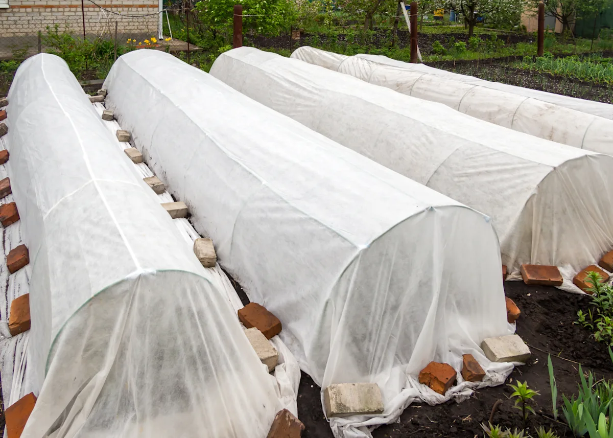plant garden covered for winter